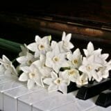 flowers_on_the_piano